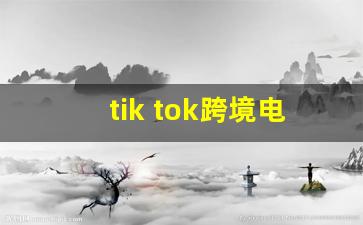 tik tok跨境电商